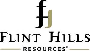 Flint Logo